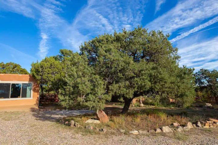 Bed and Breakfast Pet Friendly Pinon Heaven Canada de los Alamos Zewnętrze zdjęcie